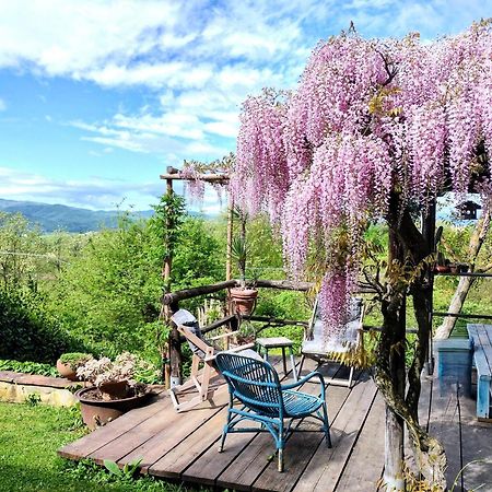 Tuscan Hills - Stonehouse, Garden & Pool Vicchio Exteriör bild