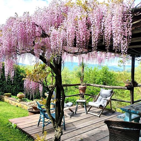 Tuscan Hills - Stonehouse, Garden & Pool Vicchio Exteriör bild