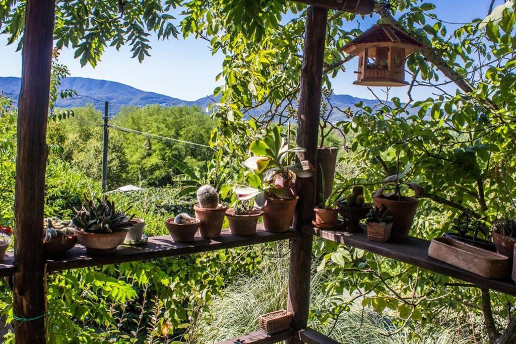 Tuscan Hills - Stonehouse, Garden & Pool Vicchio Exteriör bild