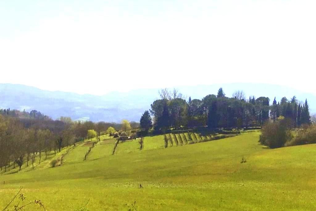 Tuscan Hills - Stonehouse, Garden & Pool Vicchio Exteriör bild