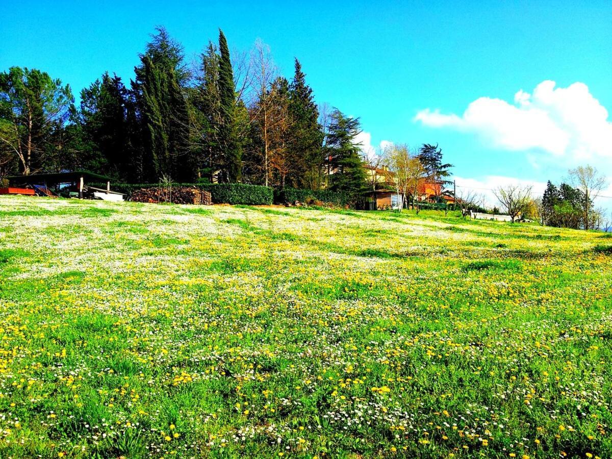 Tuscan Hills - Stonehouse, Garden & Pool Vicchio Exteriör bild