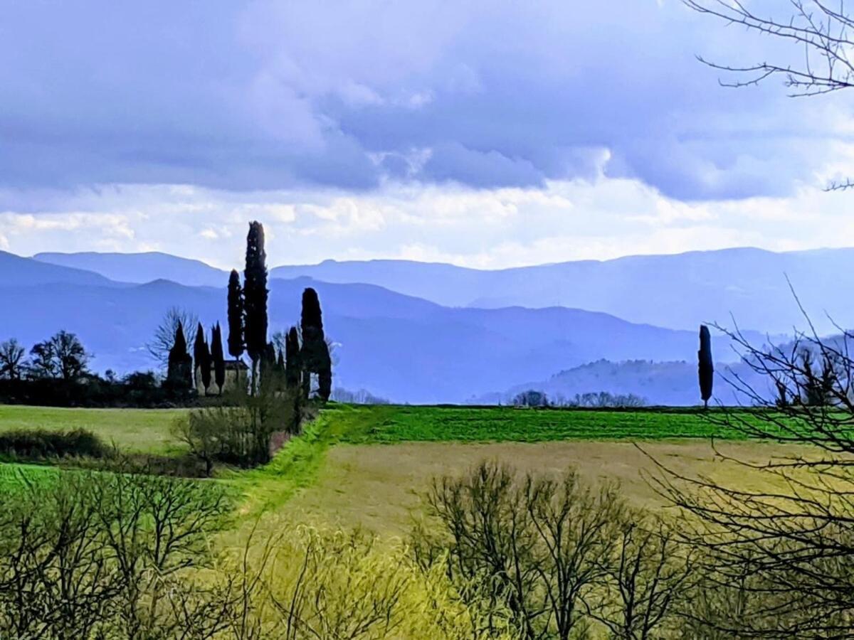 Tuscan Hills - Stonehouse, Garden & Pool Vicchio Exteriör bild