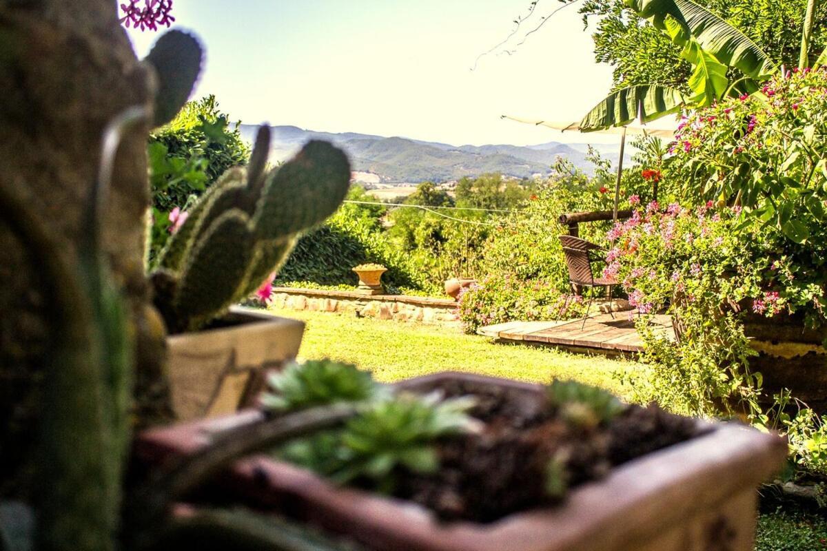 Tuscan Hills - Stonehouse, Garden & Pool Vicchio Exteriör bild
