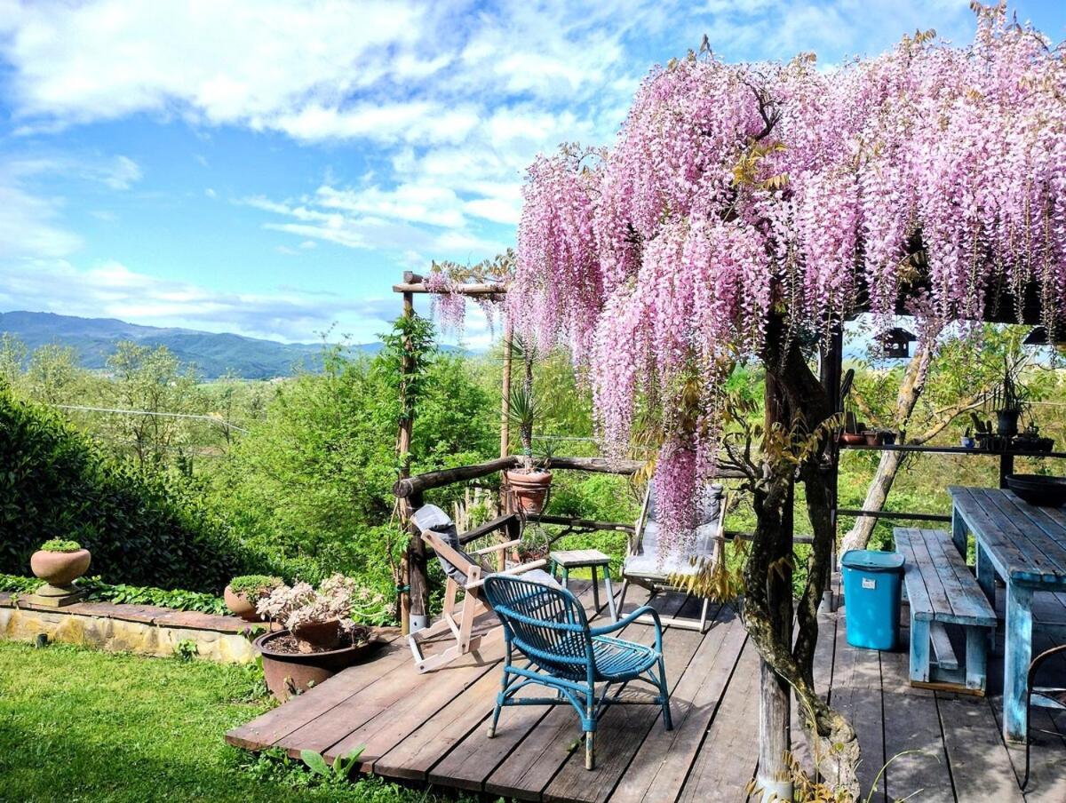Tuscan Hills - Stonehouse, Garden & Pool Vicchio Exteriör bild