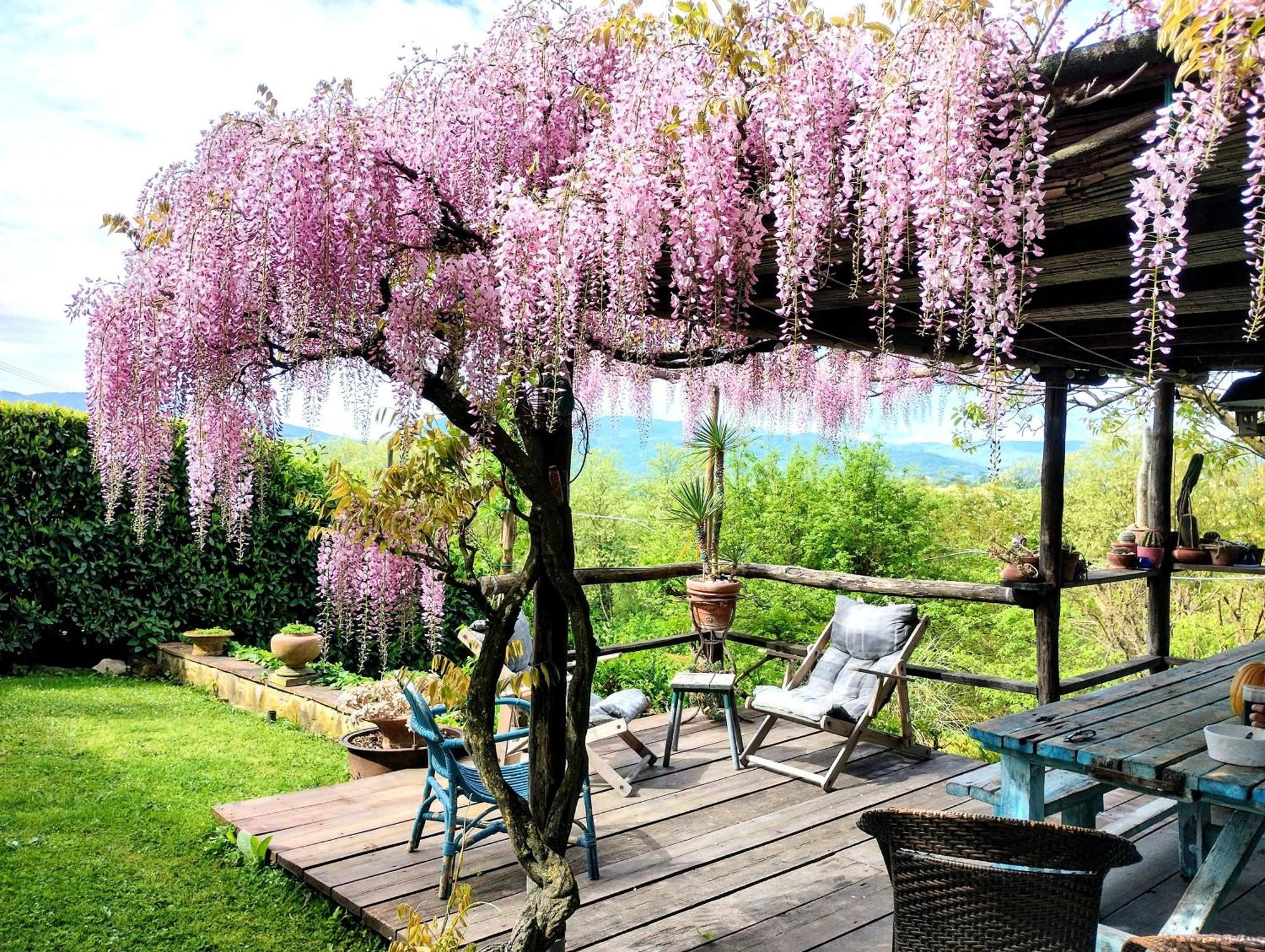 Tuscan Hills - Stonehouse, Garden & Pool Vicchio Exteriör bild